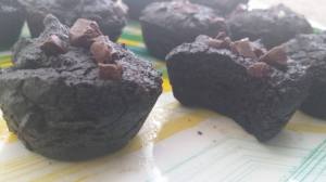 13548942_298315077223586_1904365656_o